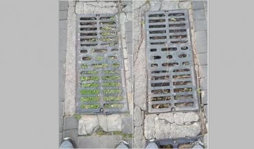פתחי הניקוז בשכונת הכרמים, הבוקר (צילום: פרטי)