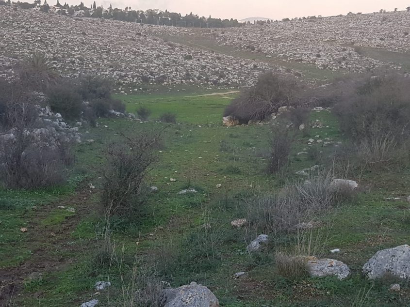 הגבעות הדרומיות במודיעין (צילום: תושבים משפיעים במודיעין)