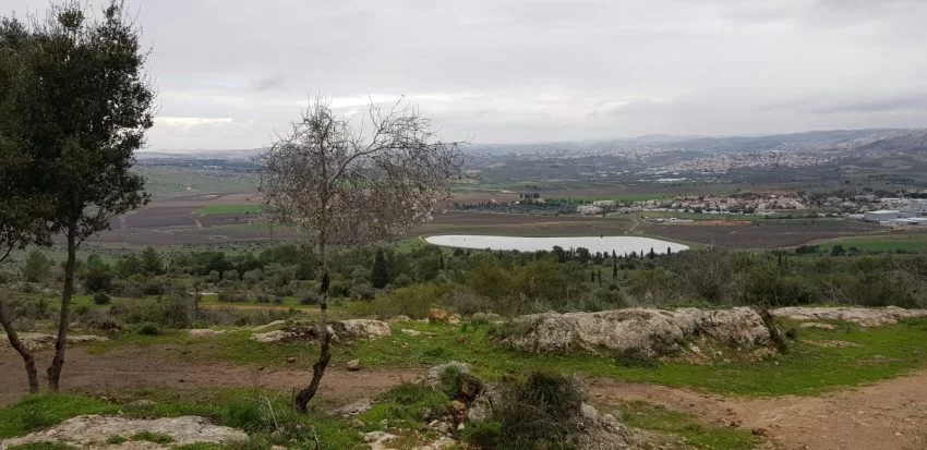 שביל המעיינות (צילום: נטע לסקה מזרחי)
