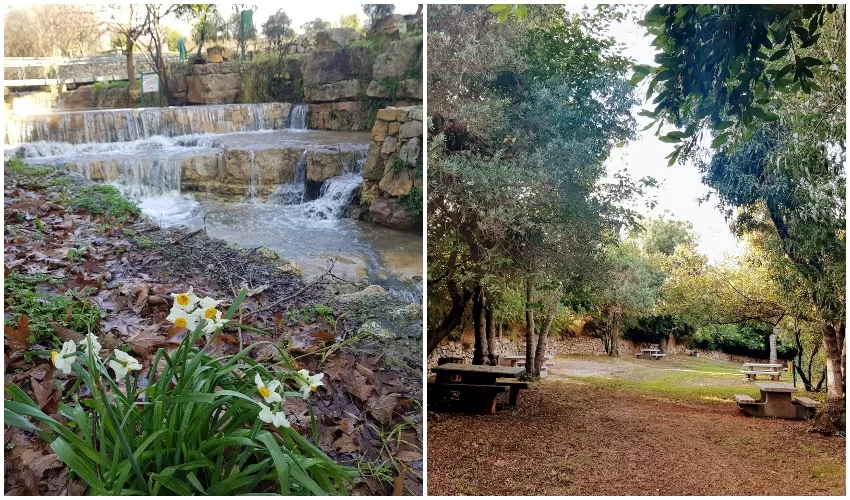 גן לאומי עין חמד (צילום: דרור ברון וגיא אלבוחר)