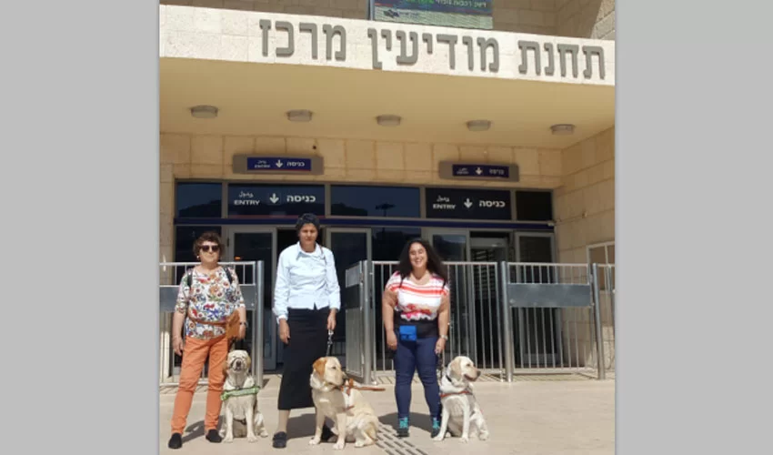 מכוונים קוליים (צילום: אלי שרוני)