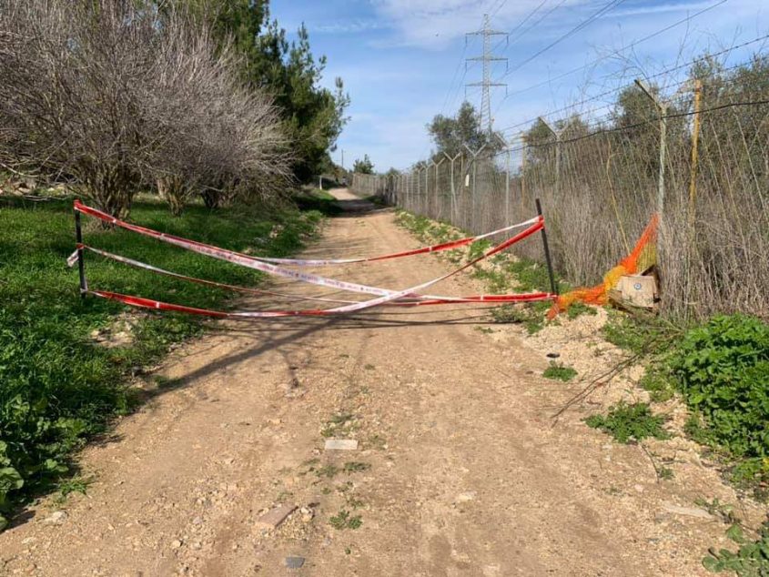 חידוש העבודות ביער השבוע (צילום: מיכל ציון)