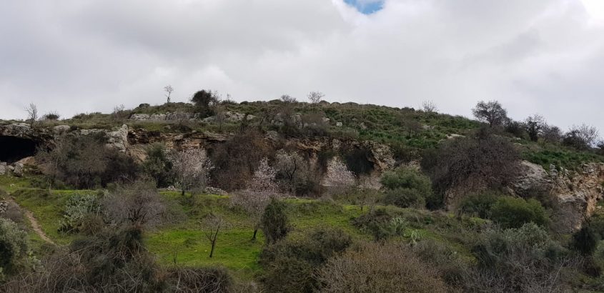 שביל המעיינות (צילום: נטע לסקה מזרחי)
