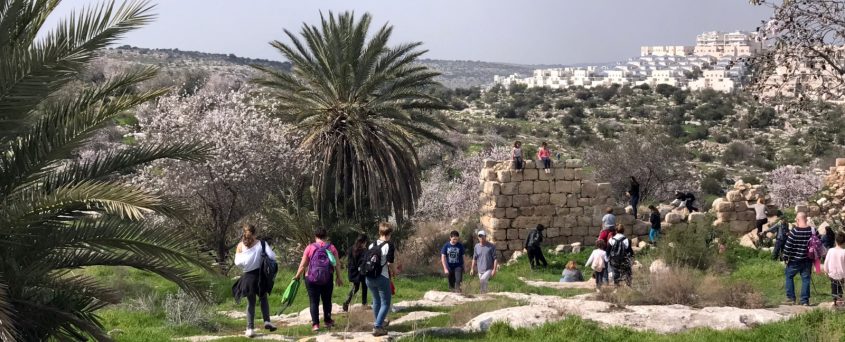 הגבעות הדרומיות - מודיעין (צילום: אביטל יוגב, החברה להגנת הטבע)