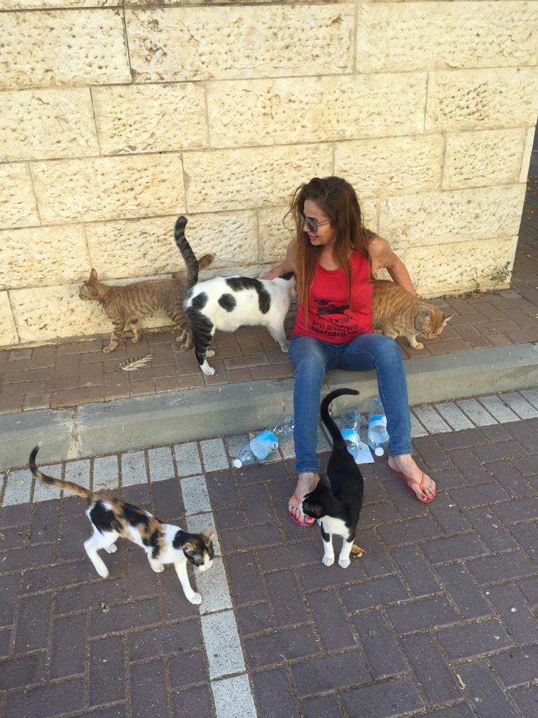 אוה אהרונוף עם חתולי הקהילה במודיעין (צילום: פרטי)