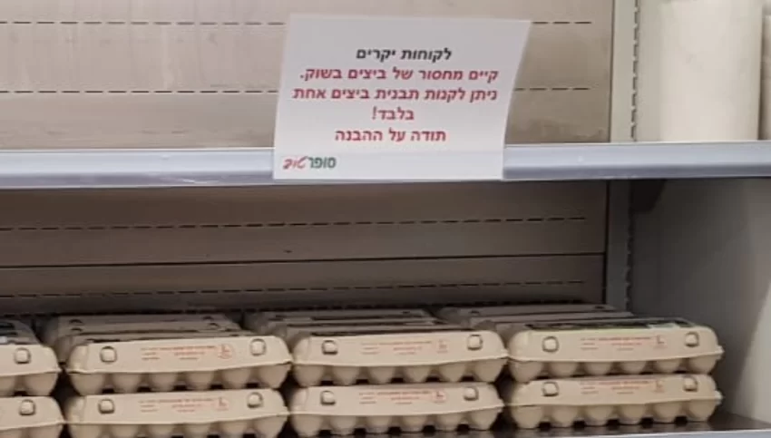 מדף הביצים בסופרמרקט (צילום: פרטי)