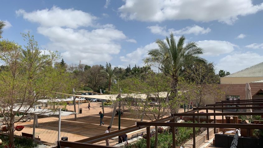 המרכז המסחרי לב רעות בזמן משבר הקורונה (צילום: מוטי לוי)
