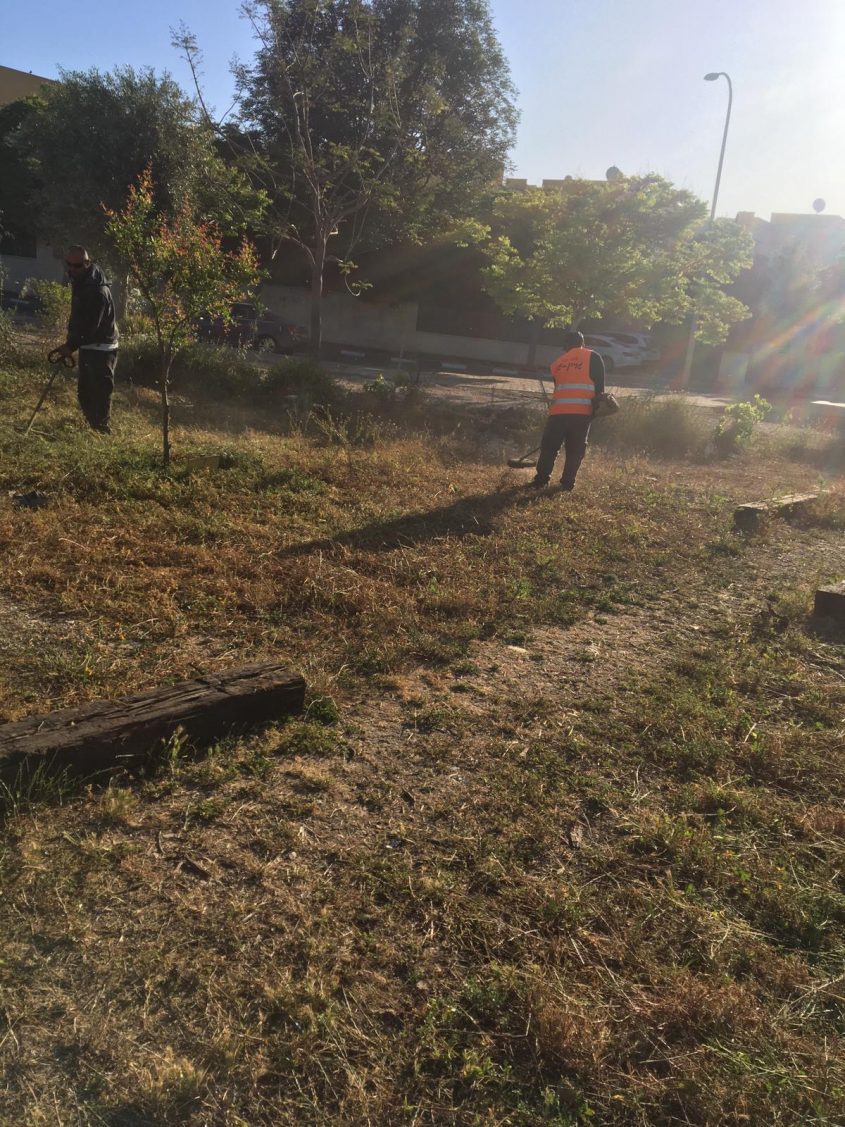 שיקום הגינה הקהילתית (צילום: דוברות עיריית מודיעין מכבים רעות)
