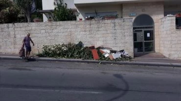 גזם במודיעין (צילום: דוברות עיריית מודיעין מכבים רעות)