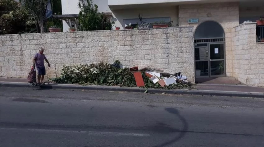 גזם במודיעין (צילום: דוברות עיריית מודיעין מכבים רעות)