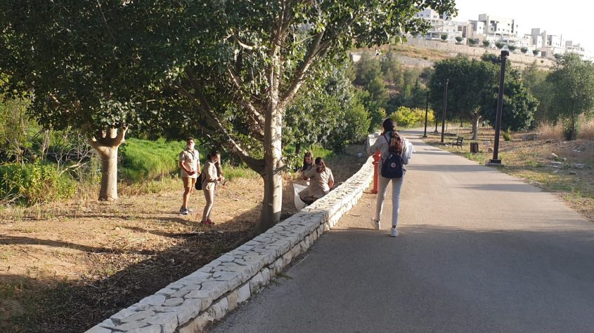 ניקיון שבט היובל בפארק ענבה (צילום: דוברות עיריית מודיעין מכבים רעות)