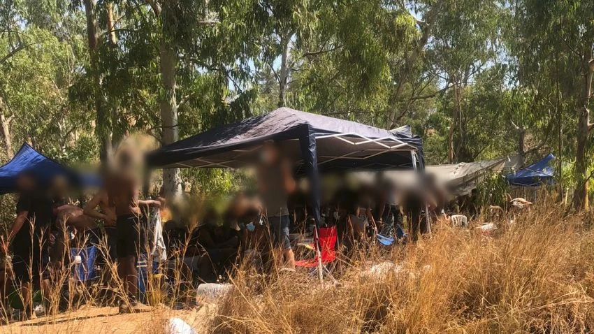 מסיבת היער ביער בן שמן בניגוד להגבלות הקורונה (צילום: דוברות המשטרה)