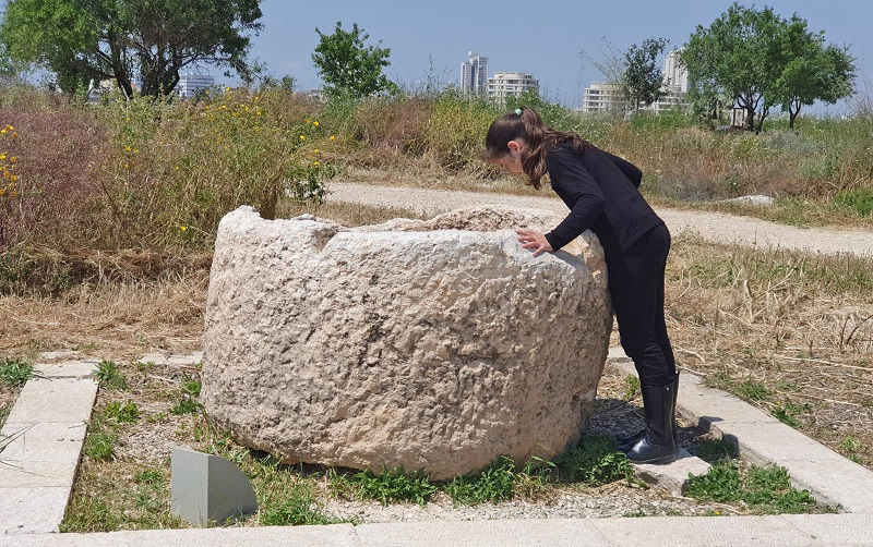 עבודות השימור של רשות העתיקות במגדל הצלבני (צילום: מירב שי, רשות העתיקות)